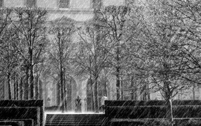 What’s on your open access bookshelf?