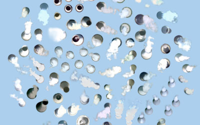 The Sovereignty of Data