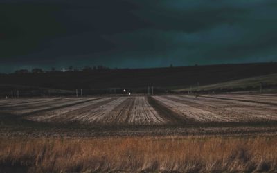 Teachable moments: On the death of a good friend