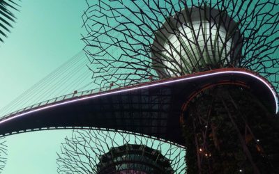 More Seymours than Women: Imaginaries of Tomorrow