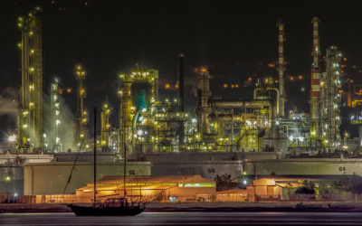 Token pasts and token futures: Monbiot’s education cliches